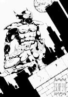 ShadowHawkThumb.jpg (16666 bytes)